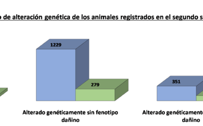 Estadísticas segundo semestre de 2024